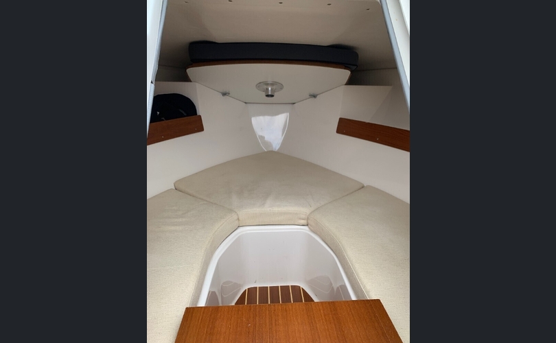 AMT 200 DC + Honda 150-kuva-4